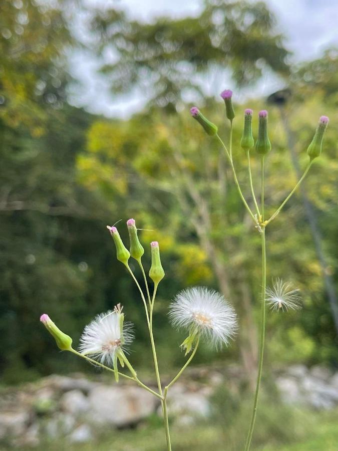 Naramountainkhaoyai รถบ้าน Ban Tha Chang Exterior foto